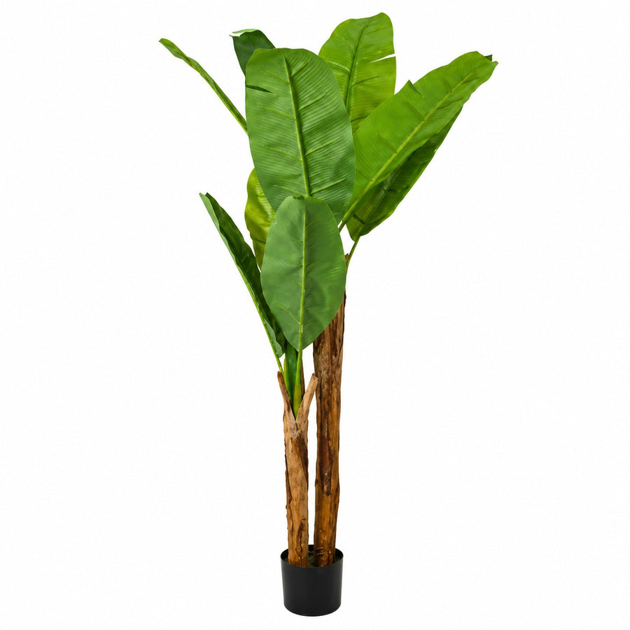 Artificial Banana Tree Tropical Plant | W95 x H160cm, Black Pot