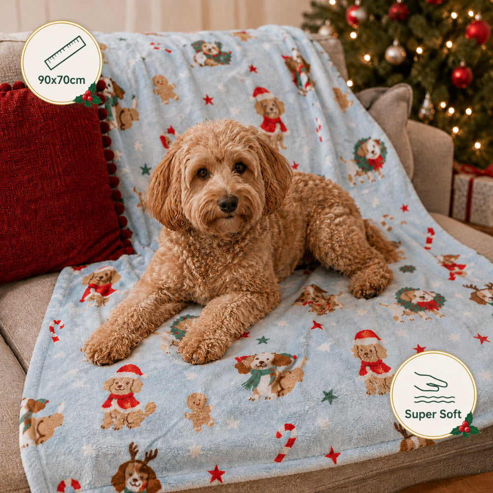 Christmas Dog Print Fleece Pet Blanket - 90 x 70cm, Light Blue