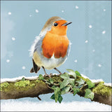 Robin on Branch Paper Napkins | 33x33cm, 20 Pack for Kitchen
