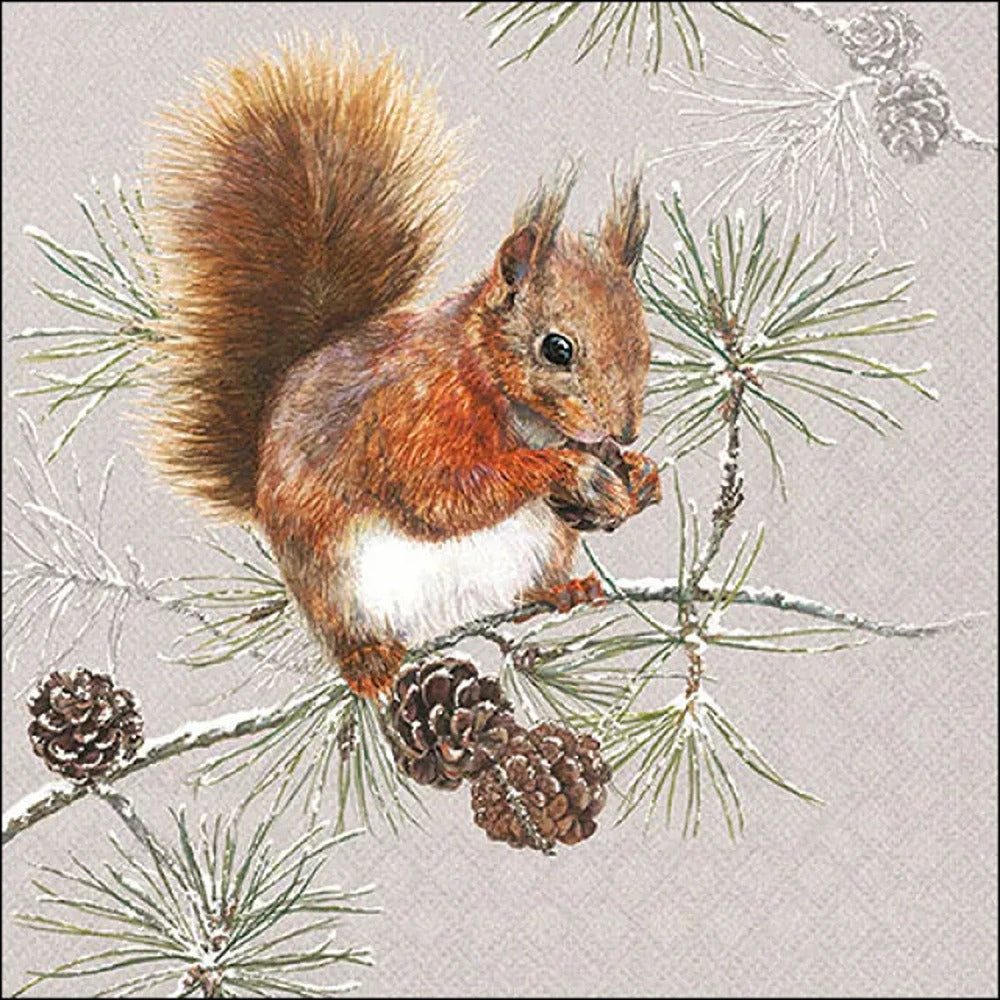 Home Accessories Squirrel In Winter Napkins | 33x33cm 20 Pack