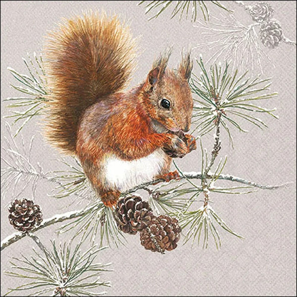 Home Accessories Squirrel In Winter Napkins | 33x33cm 20 Pack