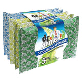 Dr Shine Scouring Pads - Metallic - 5 Pack