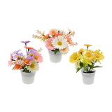 Artificial Potted Daisy Flower Arrangement | 10 x 14cm, 3 Assorted Colours