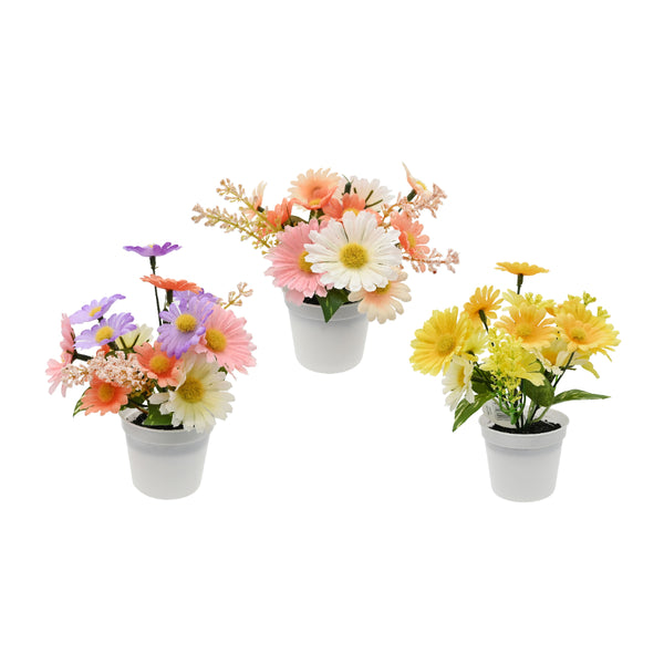 Artificial Potted Daisy Flower Arrangement | 10 x 14cm, 3 Assorted Colours