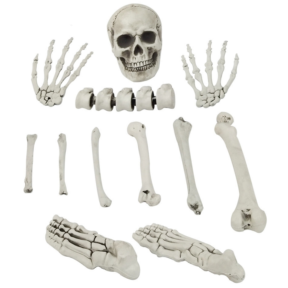 Realistic Halloween Skeleton Bones Decoration Set | 12 Pieces, 22 x 16 x 42cm