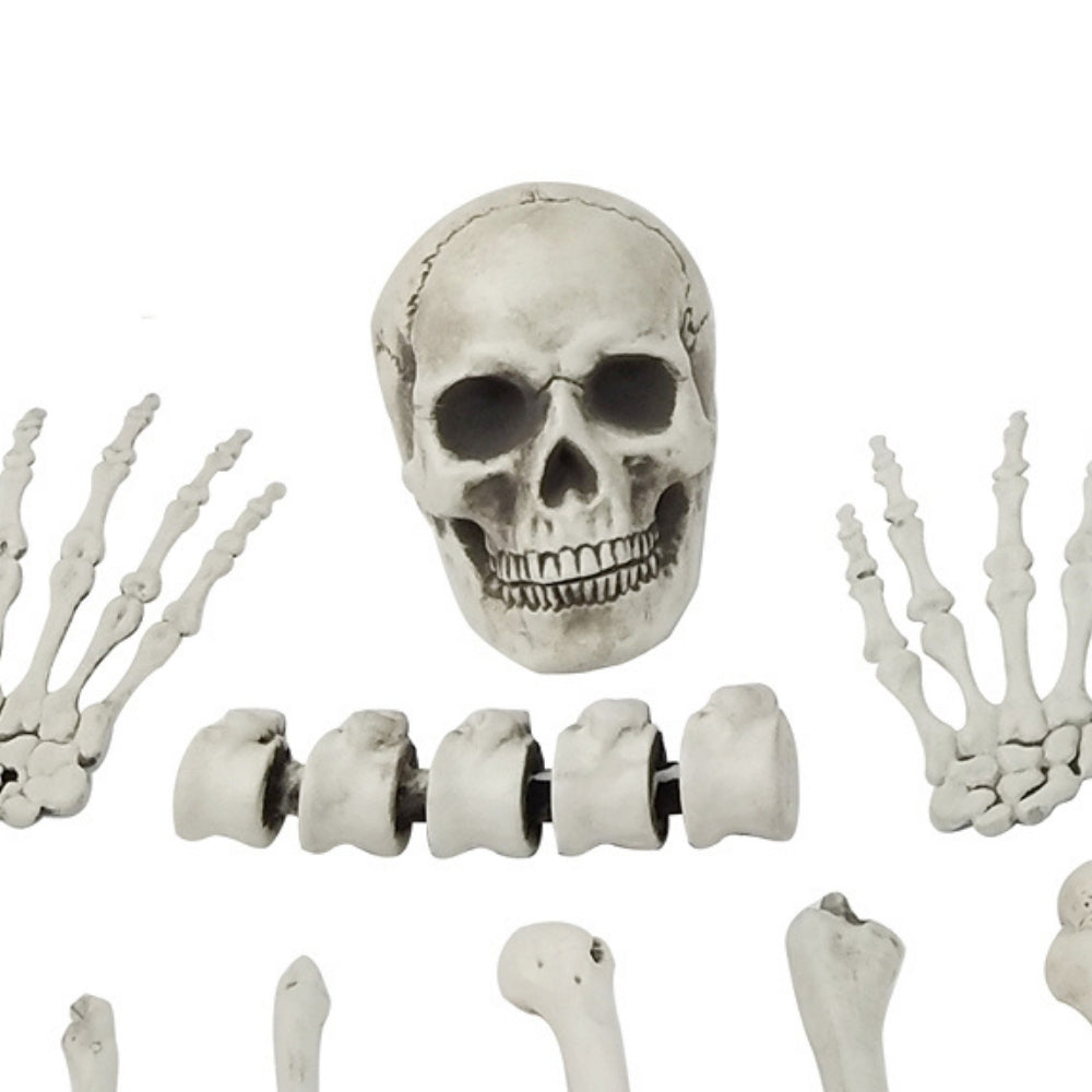 Realistic Halloween Skeleton Bones Decoration Set | 12 Pieces, 22 x 16 x 42cm