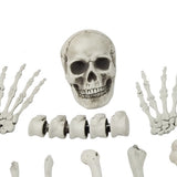 Realistic Halloween Skeleton Bones Decoration Set | 12 Pieces, 22 x 16 x 42cm
