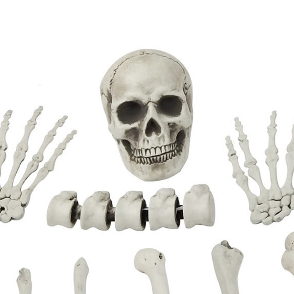 Realistic Halloween Skeleton Bones Decoration Set | 12 Pieces, 22 x 16 x 42cm