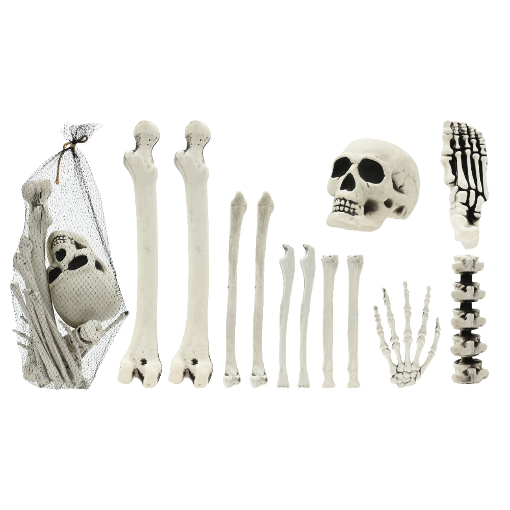 Realistic Assorted Halloween Skeleton Bone Decoration Set - 12 Pieces