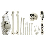 Realistic Assorted Halloween Skeleton Bone Decoration Set - 12 Pieces