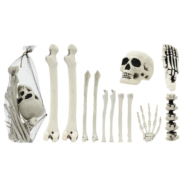 Realistic Assorted Halloween Skeleton Bone Decoration Set - 12 Pieces