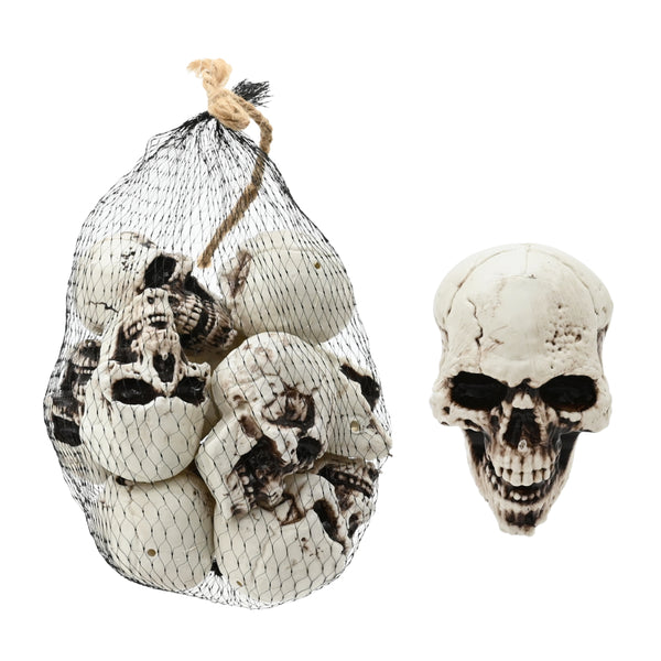 Realistic Aged Ivory Skull Decorations - Pack of 10, Assorted Designs