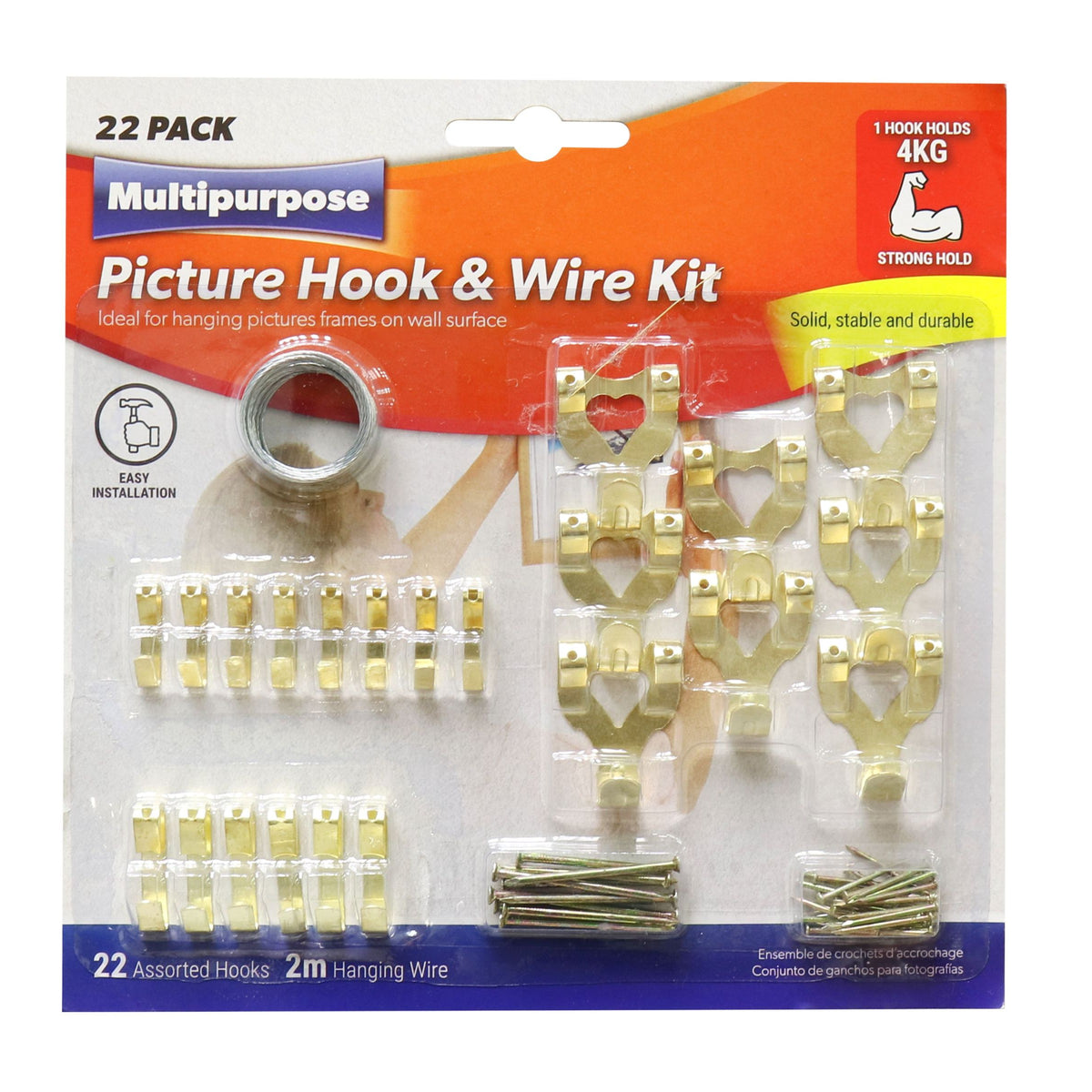 22pk Pic Hook Kit with Wire - Gold - Assorted
