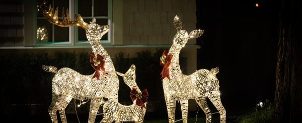Outdoor Christmas Lights