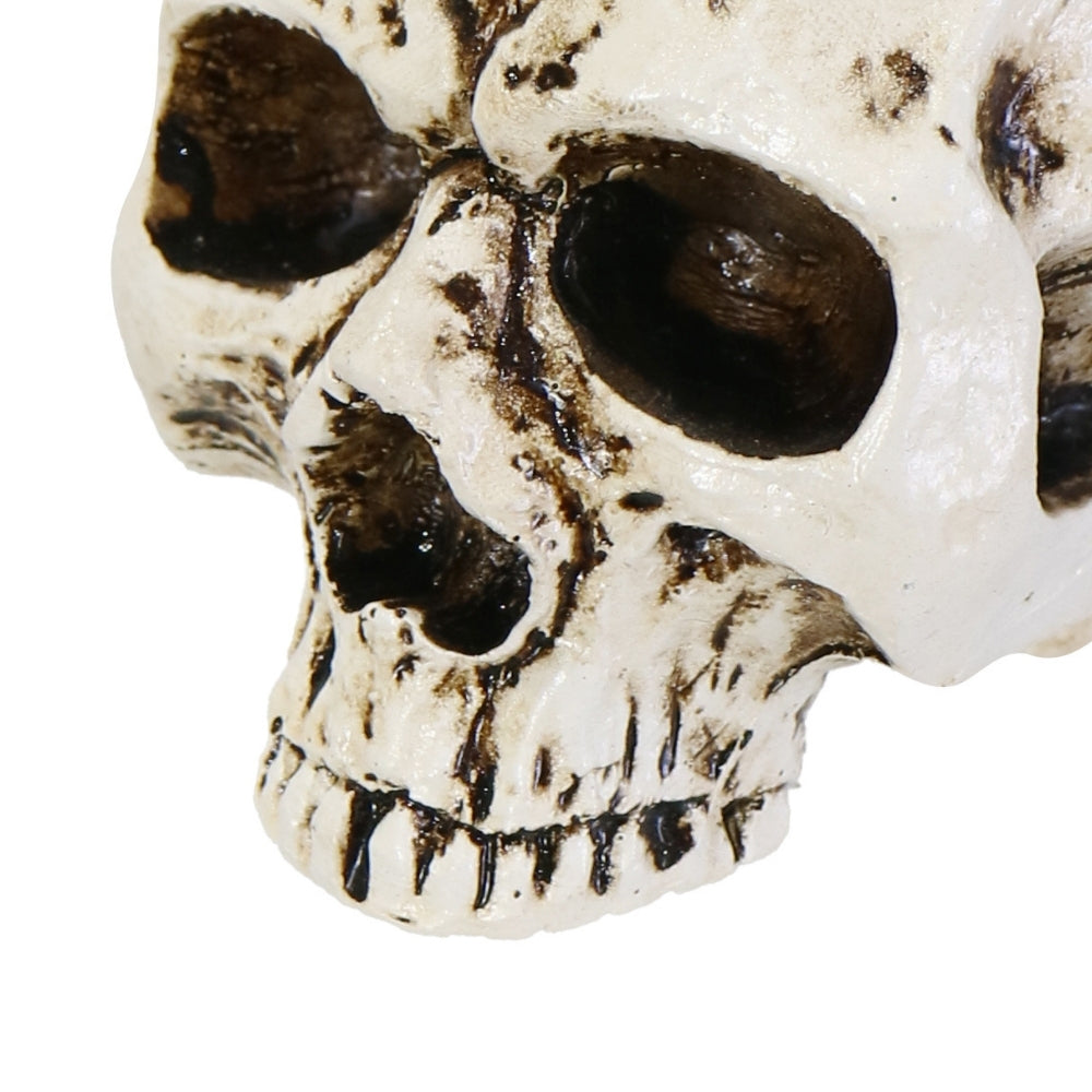 Gothic Skull Candle Holder | 6 x 9 x 6.5cm