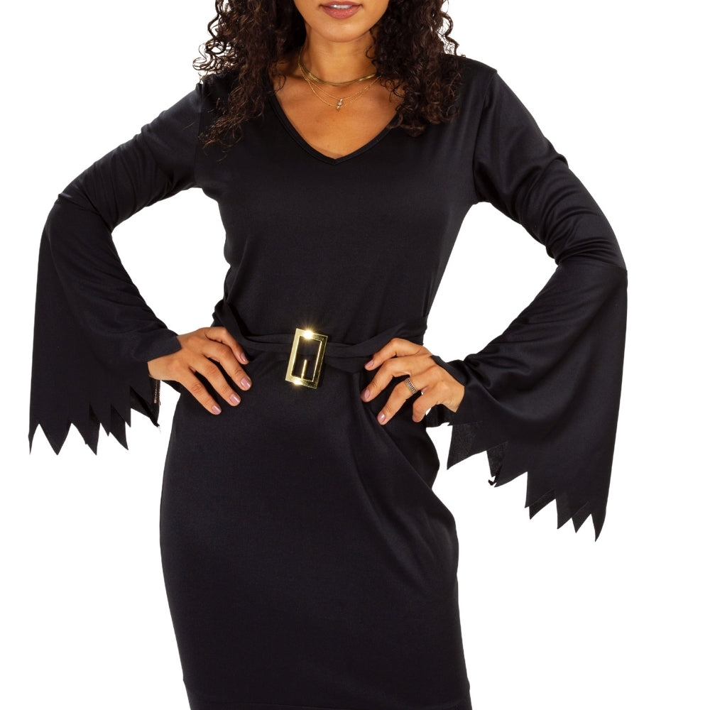 Darkwood Witch Halloween Costume | Adult One Size Fits Most