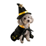 Sorcerer Pet Costume - Black and Gold Witch Hat and Star Cape