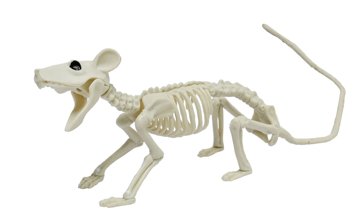 Boo! Large Skeleton Rat | 27cm