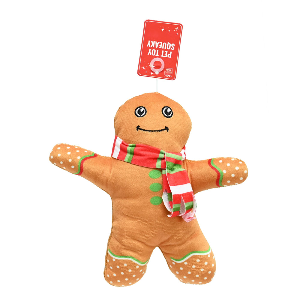 Pet Squeaky Toy | Assorted Designs
