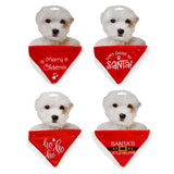 Festive Magic Embroidered Velvet Pet Christmas Bandana - Assorted Designs