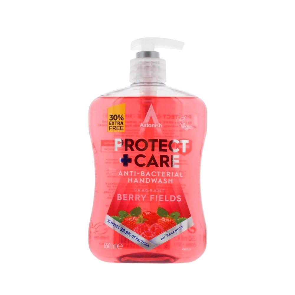 Astonish Protect & Care Anti-Bacterial Handwash Berry Fields | 650ml - Choice Stores