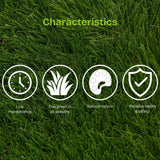 Bellinturf Artificial Grass | 4 x 1m | 20mm Pile - Choice Stores