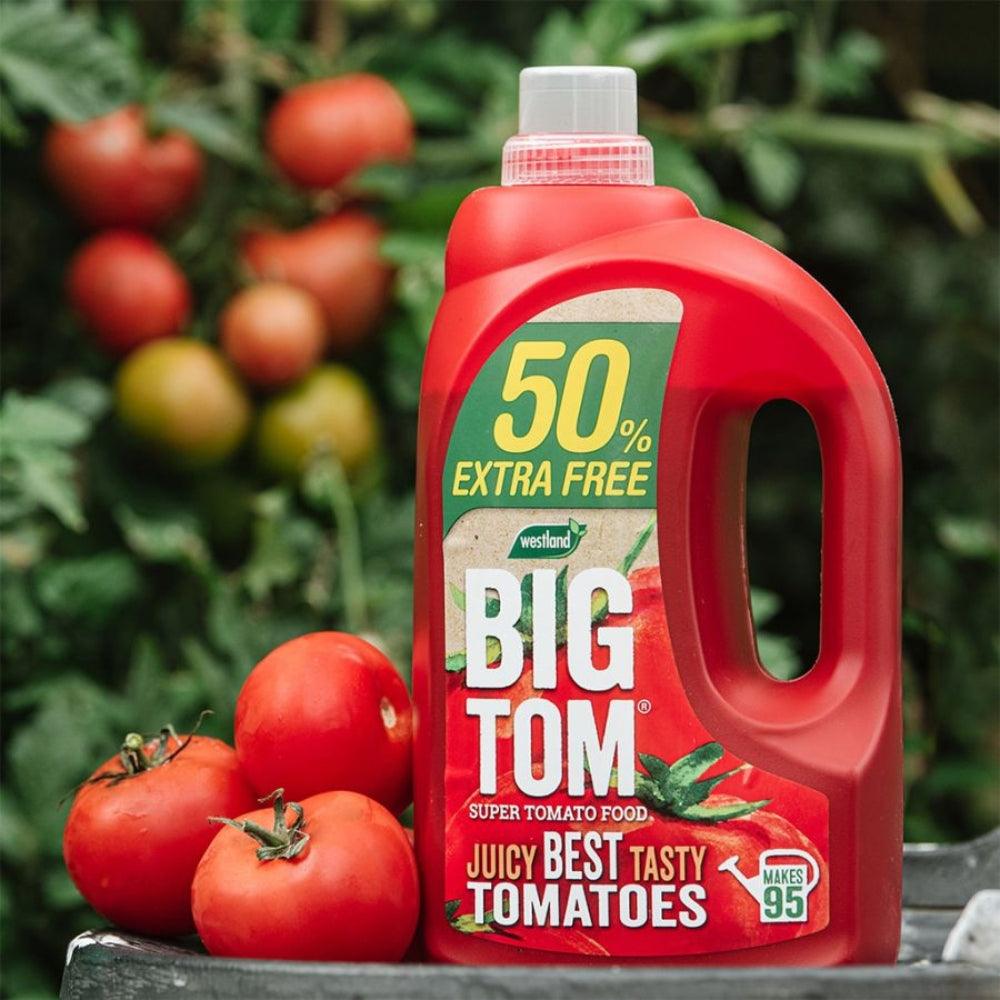 BIG TOM Super Tomato Food | 1.25L + 50% Extra Free - Choice Stores