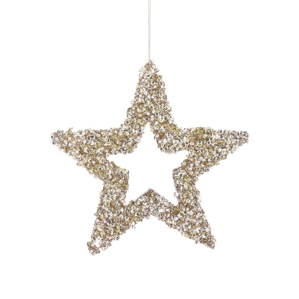 Champagne Sequin & Pearl Star Decoration | 25cm - Choice Stores