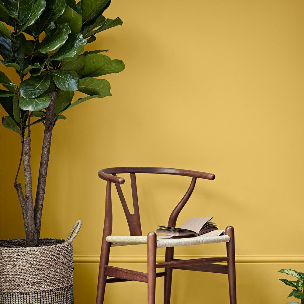 Crown Easyclean Matt Emulsion Paint | Mustard Jar - Choice Stores