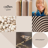 Crown Walls & Ceilings Matt Emulsion Paint | White Pepper | 40ml Tester - Choice Stores