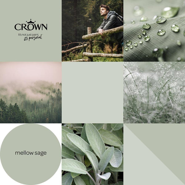Crown Walls & Ceilings Mid sheen Emulsion Paint | Mellow Sage - Choice Stores