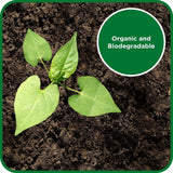 Flow Garden Acetic Super Strength Vinegar | 5L - Choice Stores