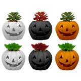 Halloween LED Light up Pumpkin with Succulent | Assorted Colours | 10cm - Choice Stores