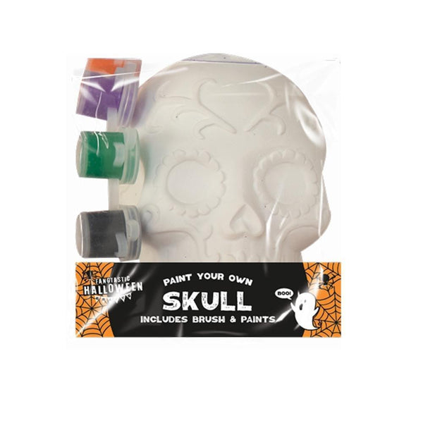 Halloween Paint Your Own Skull | Includes Paints & Brush - Choice Stores