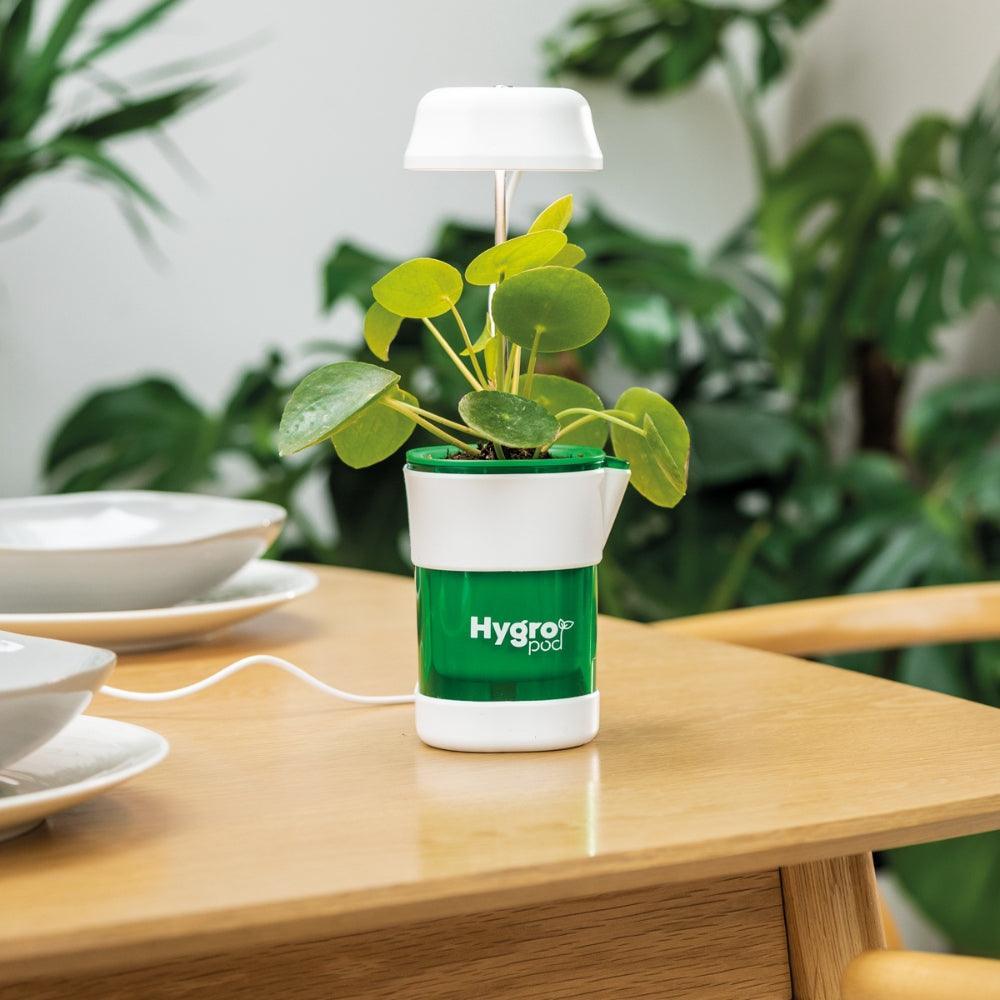 JML HygroPod Indoor Self-Watering Plant Pot | With LED Lights - Choice Stores