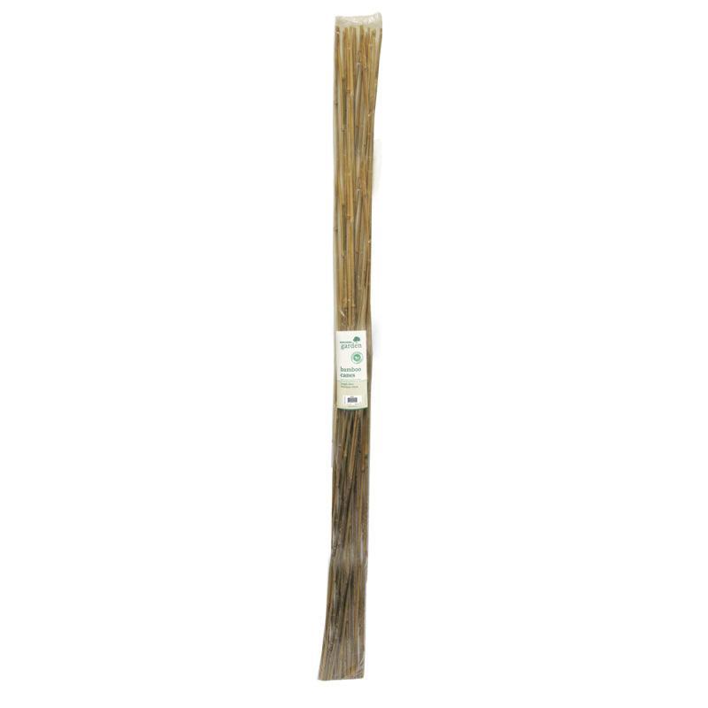 Kingfisher Bamboo Canes 10 Pack (220cm) - Choice Stores