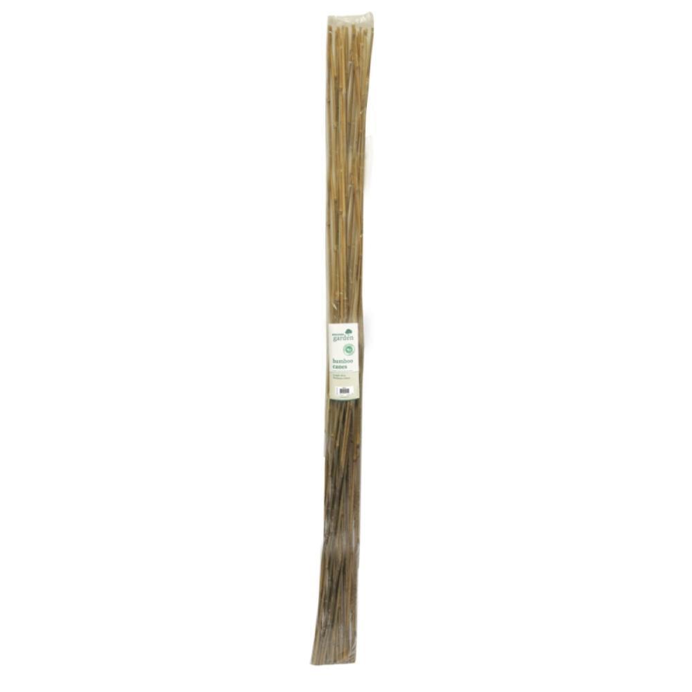 Kingfisher Bamboo Canes 10 Pack | 240cm - Choice Stores