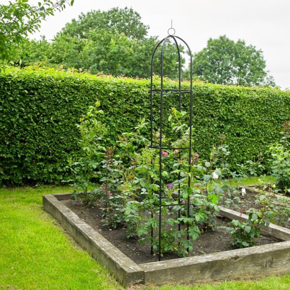 Kingfisher Garden Obelisk | 1.9m - Choice Stores