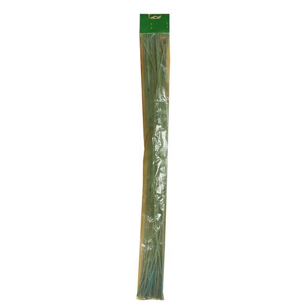 Kingfisher Green Garden Canes | Pack of 20 | 60cm - Choice Stores