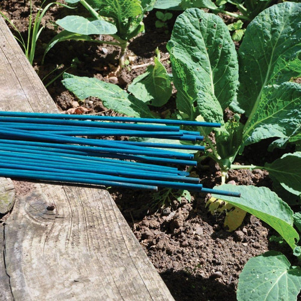 Kingfisher Green Garden Canes | Pack of 20 | 60cm - Choice Stores