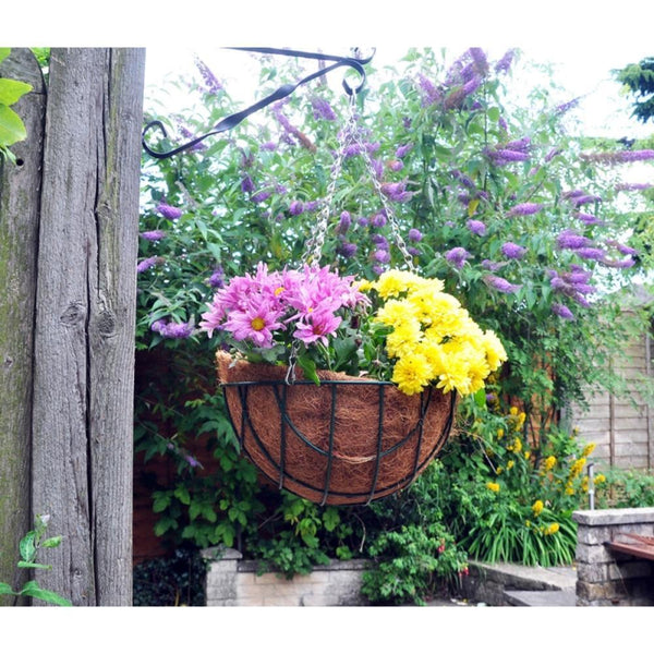 Kingfisher Metal Hanging Basket | 12 inch - Choice Stores