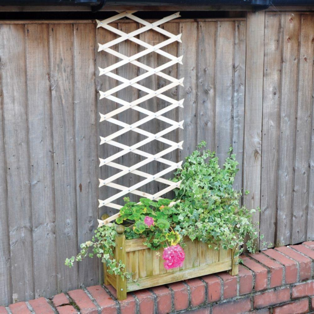 Kingfisher Natural Trellis with rivets | Large - Choice Stores
