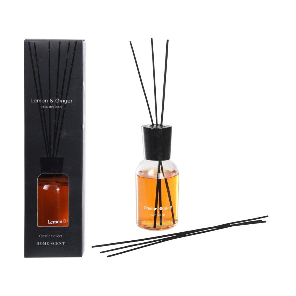 Luxurious Scented Reed Diffusers | 6 Assorted Scents - Choice Stores