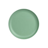 Matt Finish Melamine Picnic Plate | Assorted Colour | 25cm - Choice Stores