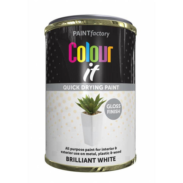 Paint Factory Colour it Quick Drying Paint Gloss Finish | 300ml - Choice Stores