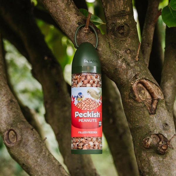 Peckish Peanut Filled Feeder - Choice Stores