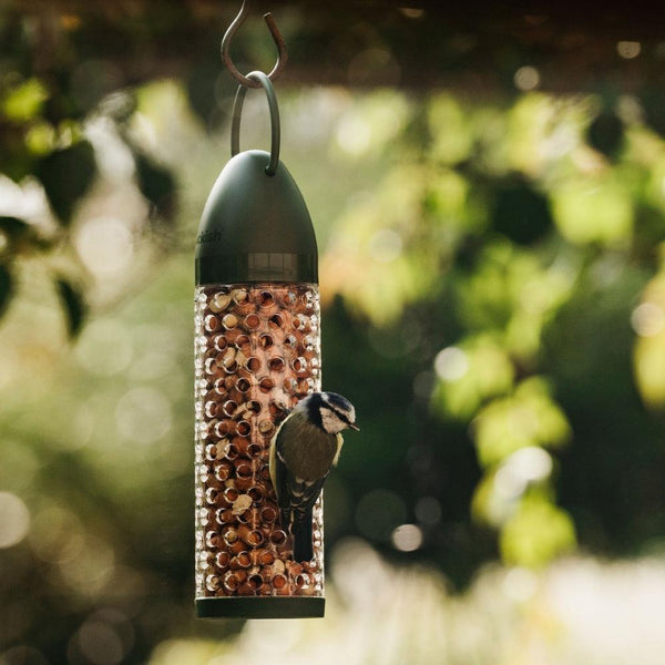 Peckish Peanut Filled Feeder - Choice Stores