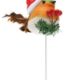 Robin Pick With Berry | 17cm - Choice Stores