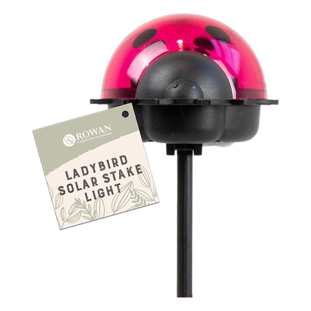 Rowan Ladybird Solar Stake Light - Choice Stores