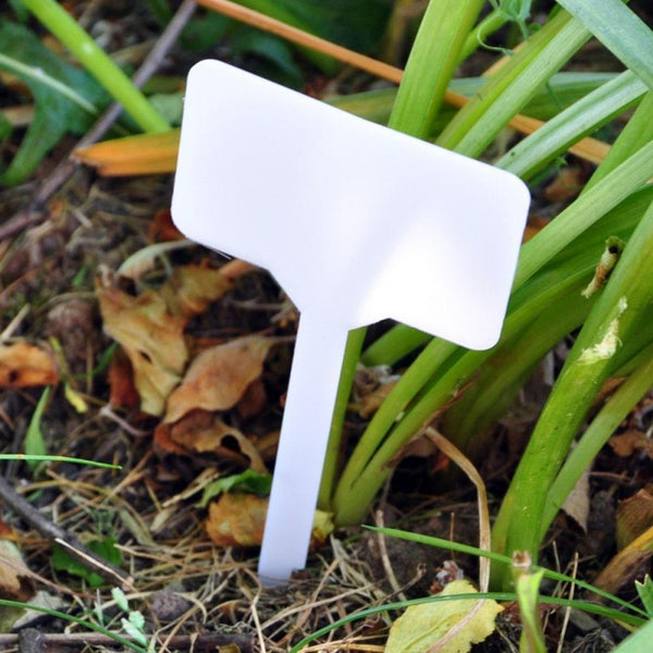 Shedmates Plant Markers (10 Large) - Choice Stores